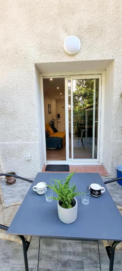 Studio Simone - Terrasse Et Jardin - Tv - Wifi Тулуза Экстерьер фото