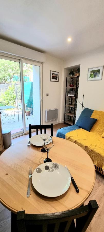 Studio Simone - Terrasse Et Jardin - Tv - Wifi Тулуза Экстерьер фото